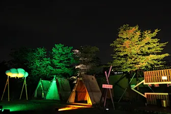 battery led par light